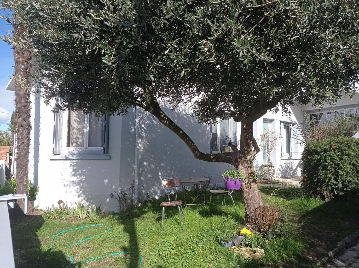 Chambre Meublee Independante, Avec Piscine Et Jardin, 1 Lit Pour 2 Personnes Direct Gare Aeroport Toulouse Exterior foto